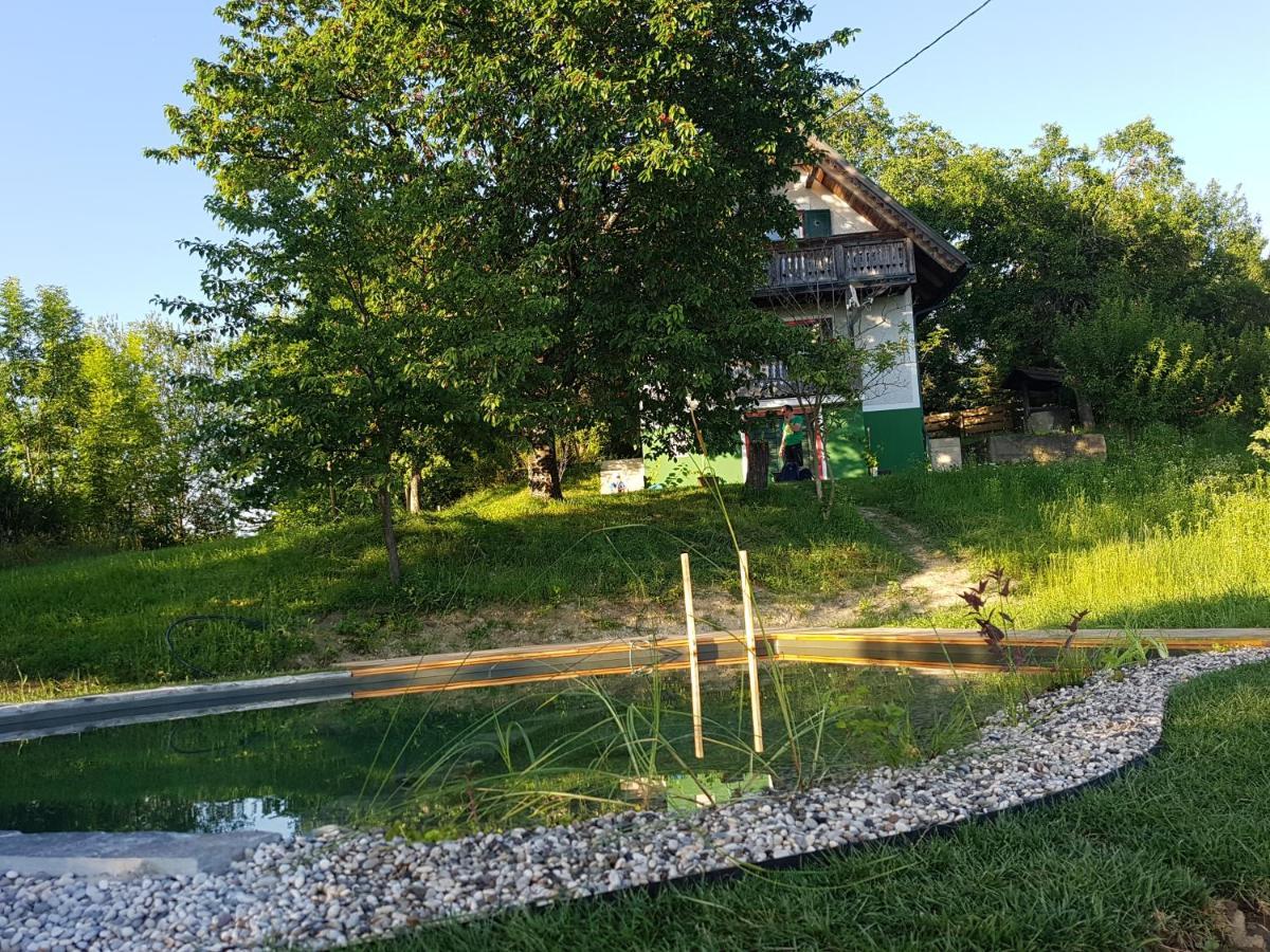 Holiday Home Sonnenhaus Svecina Bagian luar foto
