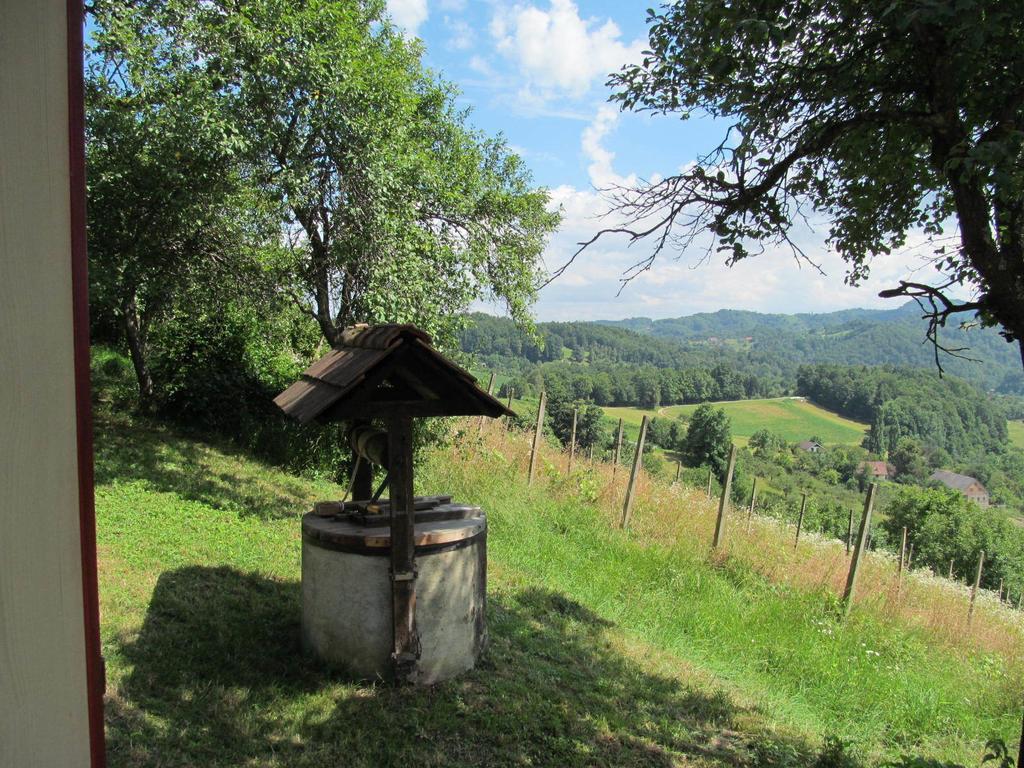 Holiday Home Sonnenhaus Svecina Bagian luar foto